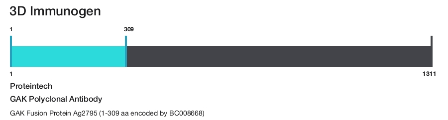 GAK Polyclonal Antibody