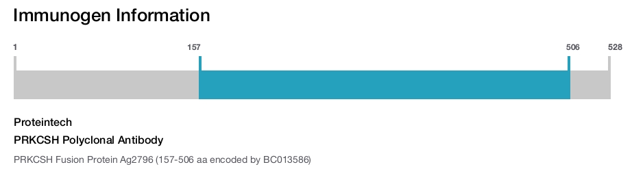 PRKCSH Polyclonal Antibody