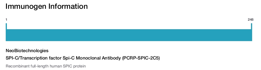 SPI-C/Transcription factor Spi-C Monoclonal Antibody (PCRP-SPIC-2C5)