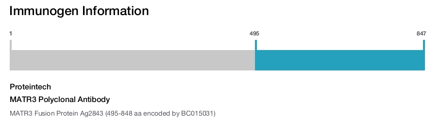 MATR3 Polyclonal Antibody