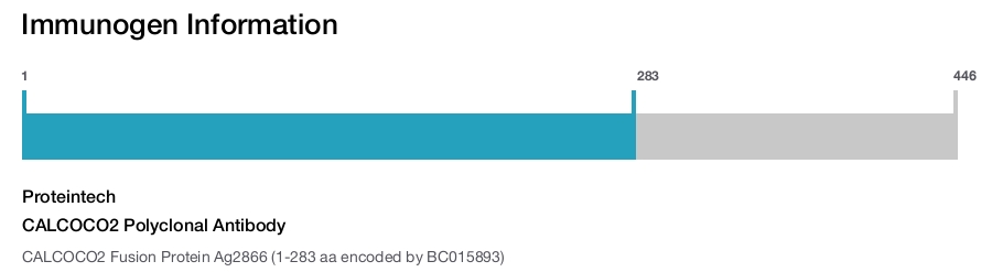 CALCOCO2 Polyclonal Antibody
