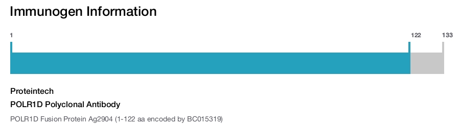 POLR1D Polyclonal Antibody
