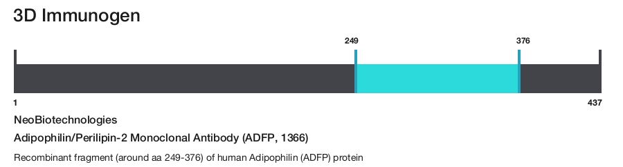 Adipophilin/Perilipin-2 Monoclonal Antibody (ADFP, 1366)