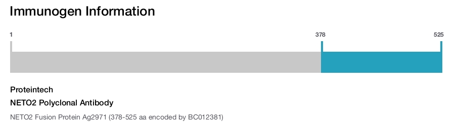 NETO2 Polyclonal Antibody