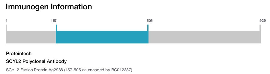SCYL2 Polyclonal Antibody