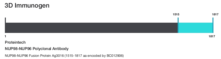 NUP98-NUP96 Polyclonal Antibody
