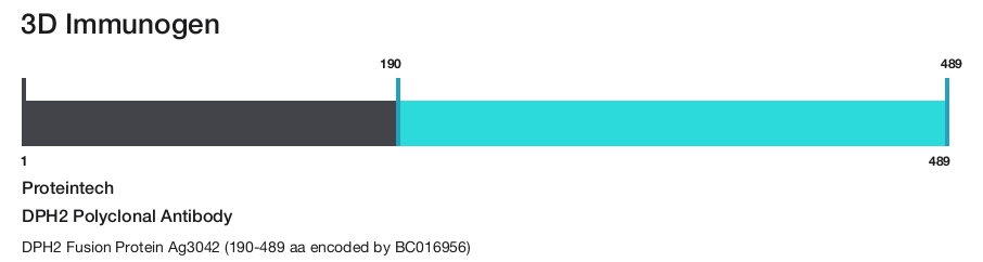 DPH2 Polyclonal Antibody