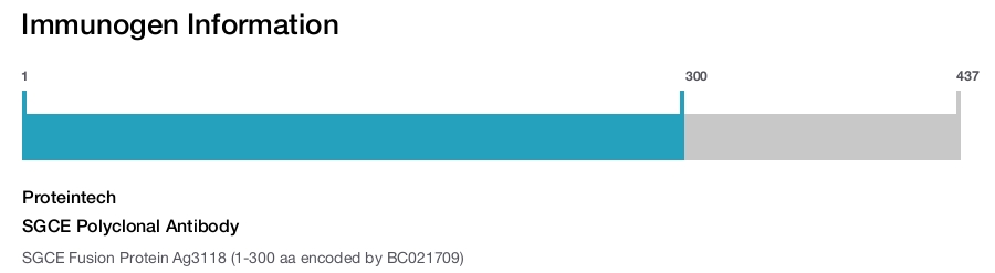 SGCE Polyclonal Antibody