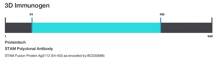 STAM Polyclonal Antibody