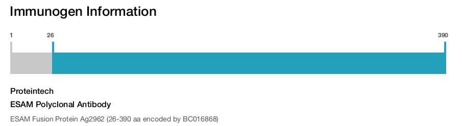 ESAM Polyclonal Antibody