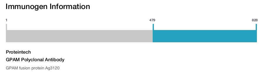 GPAM Polyclonal Antibody