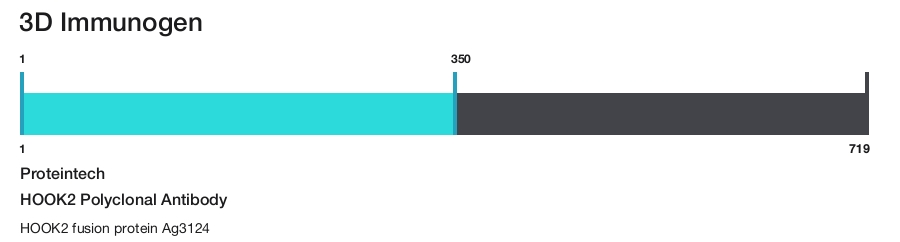 HOOK2 Polyclonal Antibody