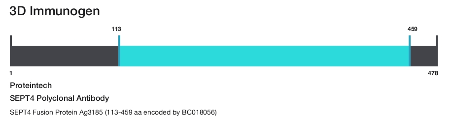 SEPT4 Polyclonal Antibody
