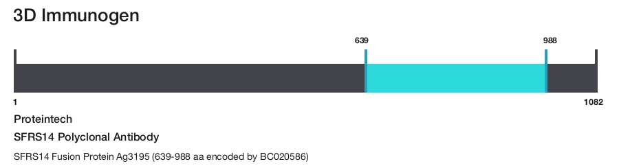 SFRS14 Polyclonal Antibody