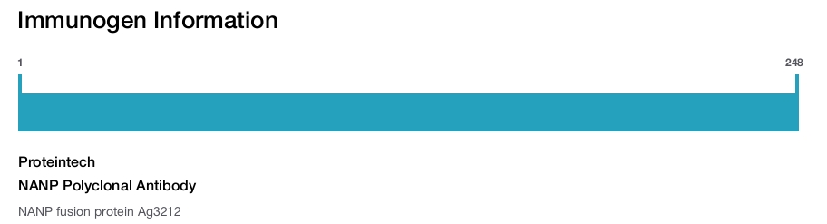 NANP Polyclonal Antibody