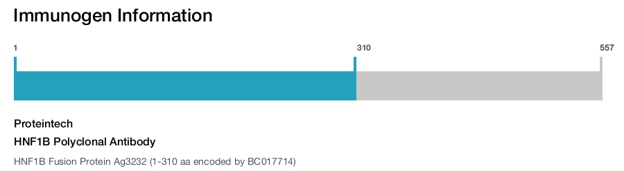 HNF1B Polyclonal Antibody