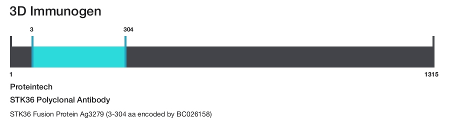 STK36 Polyclonal Antibody