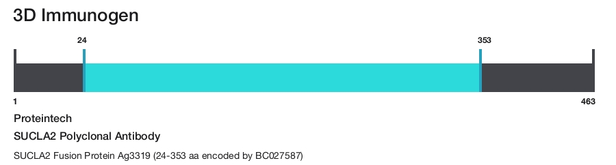 SUCLA2 Polyclonal Antibody