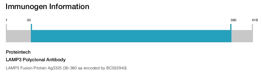 LAMP3 Polyclonal Antibody