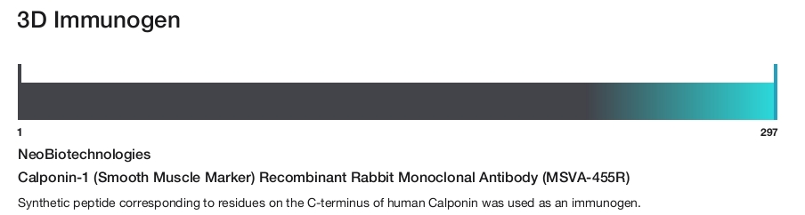 Calponin-1 (Smooth Muscle Marker) Recombinant Rabbit Monoclonal Antibody (MSVA-455R)