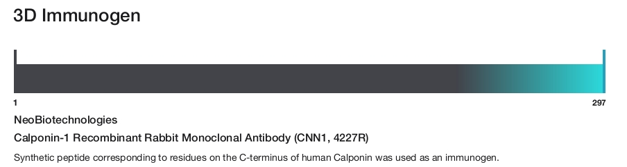 Calponin-1 Recombinant Rabbit Monoclonal Antibody (CNN1, 4227R)