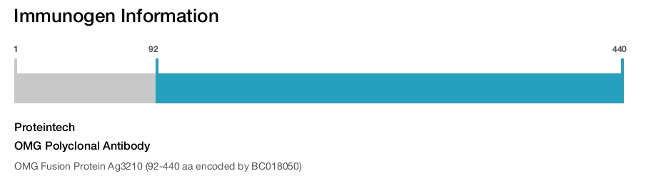 OMG Polyclonal Antibody