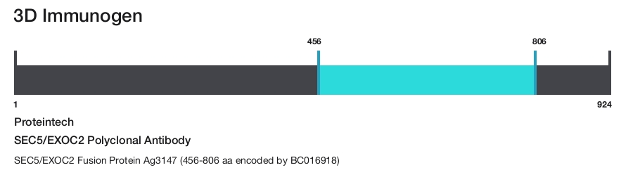 SEC5/EXOC2 Polyclonal Antibody