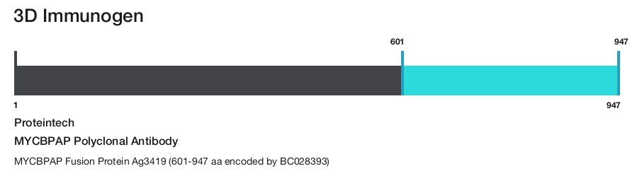 MYCBPAP Polyclonal Antibody