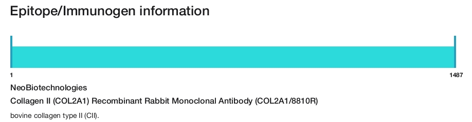 Collagen II (COL2A1) Recombinant Rabbit Monoclonal Antibody (COL2A1/8810R)