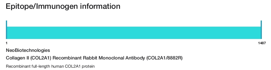 Collagen II (COL2A1) Recombinant Rabbit Monoclonal Antibody (COL2A1/8882R)