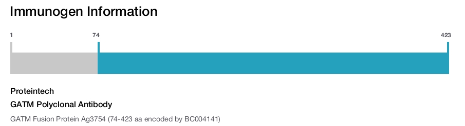 GATM Polyclonal Antibody
