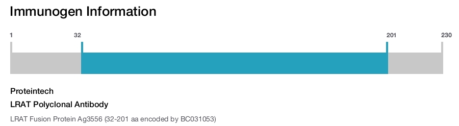 LRAT Polyclonal Antibody