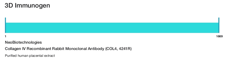Collagen IV Recombinant Rabbit Monoclonal Antibody (COL4, 4241R)
