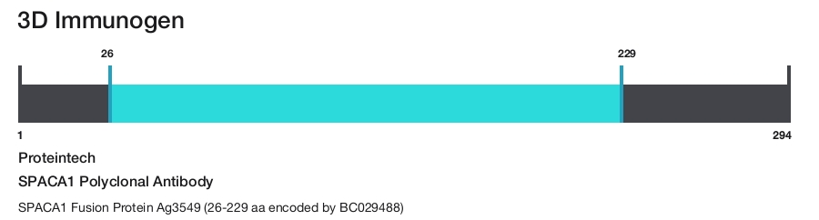 SPACA1 Polyclonal Antibody