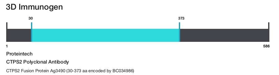 CTPS2 Polyclonal Antibody
