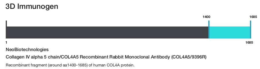 Collagen IV alpha 5 chain/COL4A5 Recombinant Rabbit Monoclonal Antibody (COL4A5/9396R)