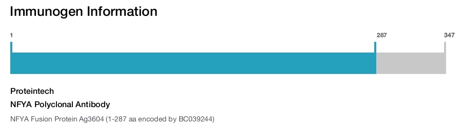NFYA Polyclonal Antibody