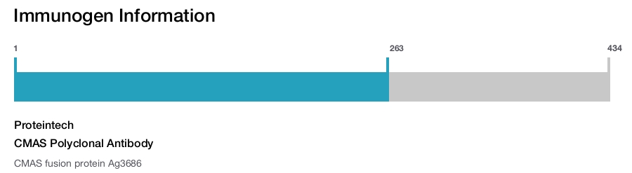 CMAS Polyclonal Antibody