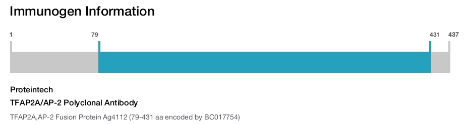 TFAP2A/AP-2 Polyclonal Antibody