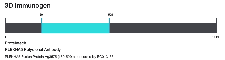 PLEKHA5 Polyclonal Antibody