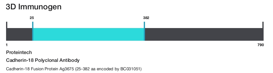 Cadherin-18 Polyclonal Antibody