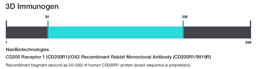 CD200 Receptor 1 (CD200R1)/OX2 Recombinant Rabbit Monoclonal Antibody (CD200R1/9919R)