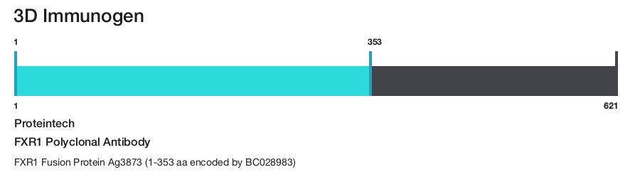 FXR1 Polyclonal Antibody