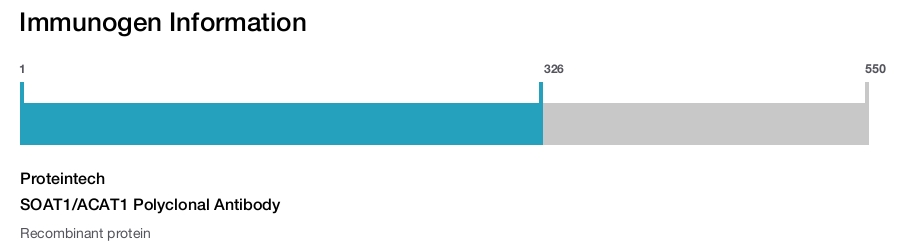 SOAT1/ACAT1 Polyclonal Antibody