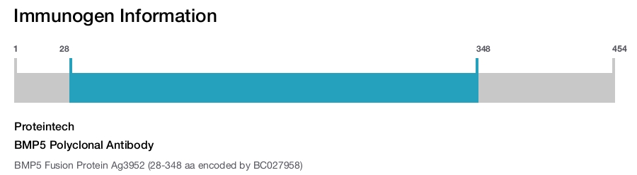 BMP5 Polyclonal Antibody
