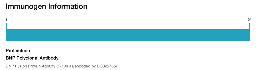 BNP Polyclonal Antibody