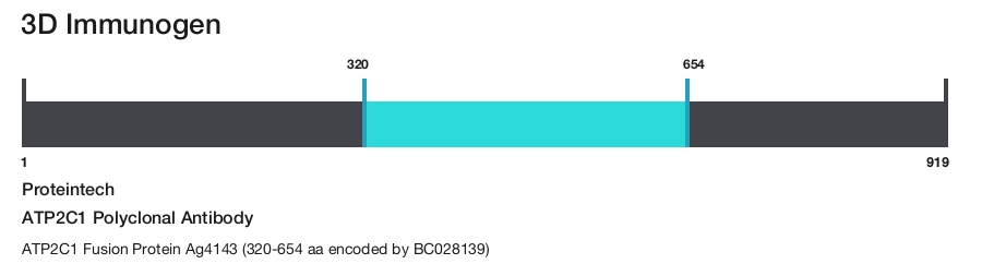 ATP2C1 Polyclonal Antibody
