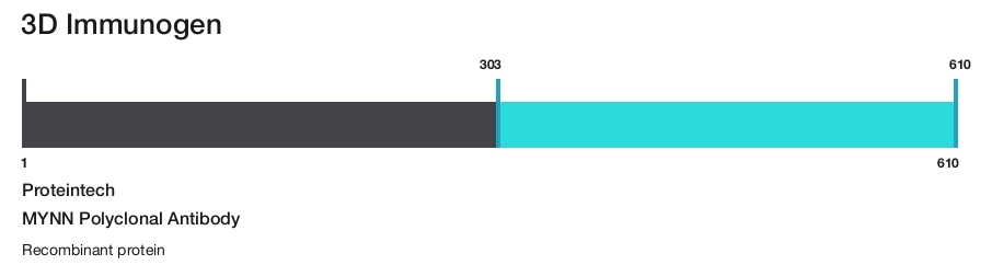 MYNN Polyclonal Antibody