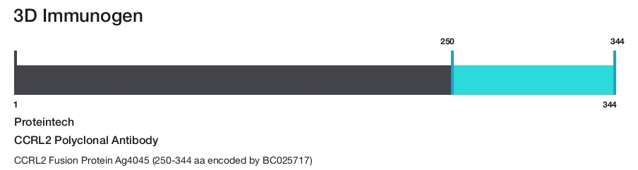 CCRL2 Polyclonal Antibody