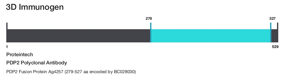 PDP2 Polyclonal Antibody
